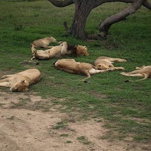 Meet your Posher, Jane